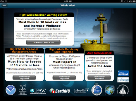 Whale Alert info screen.jpg